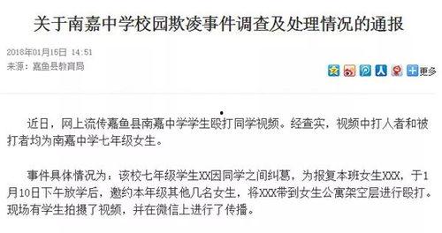 衡阳被骗爆料案件最新进展,警方全力追查，受害者权益得到关注