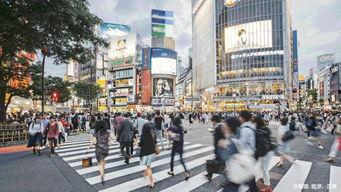 阳江楼盘爆料最新消息,最新楼盘爆料，揭秘热门项目详情